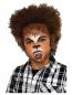 Preview: Make-Up Set für Kinder Werwolf Set