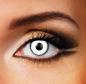 Preview: Manson Augen Effekt Kontaktlinsen weiss