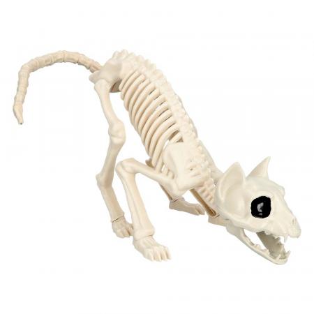 Katzen Skelett (51 cm)