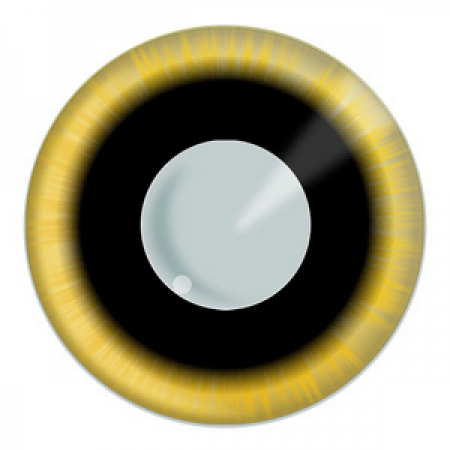 Eclipse Augen Effekt Kontaktlinsen 90 Tage Linsen