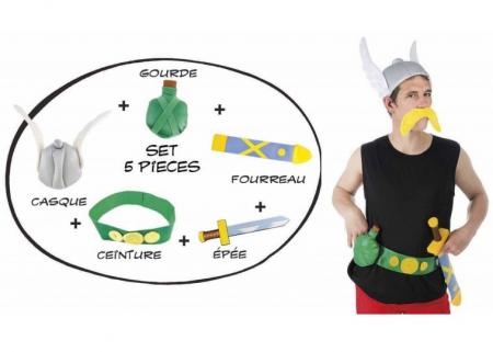 Asterix-Accessoire-Set Asterix und Obelix™ 5-teilig bunt