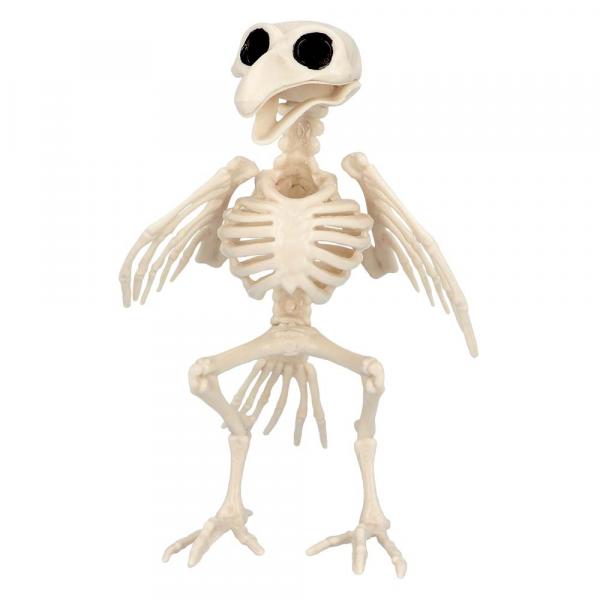 Vogel Skelett (20 cm)