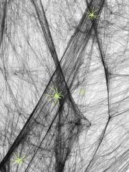 Spinnennetz mit Spinnen schwarz 16qm 60g